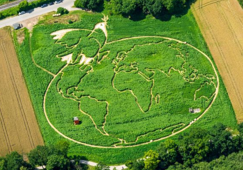 Світовий банк посилює фінансування кліматичних проєктів для країн, що розвиваються