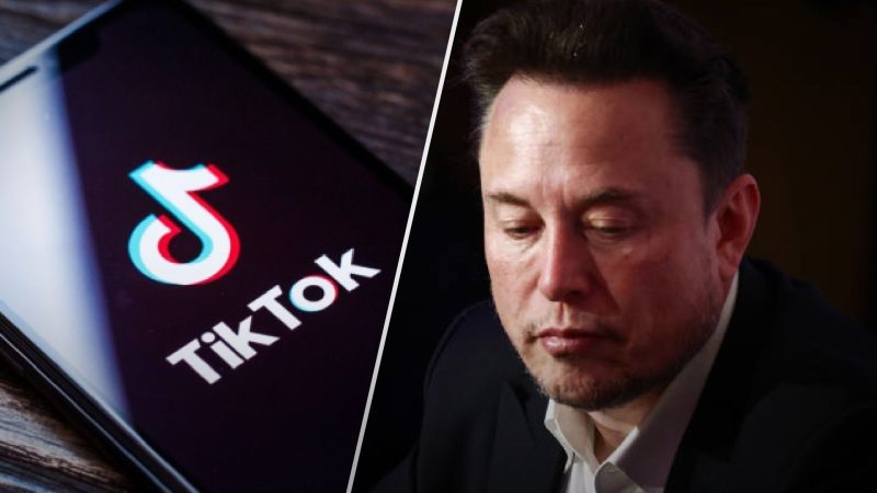 Маск заявив, що не має наміру купувати TikTok і не користується цією соцмережею