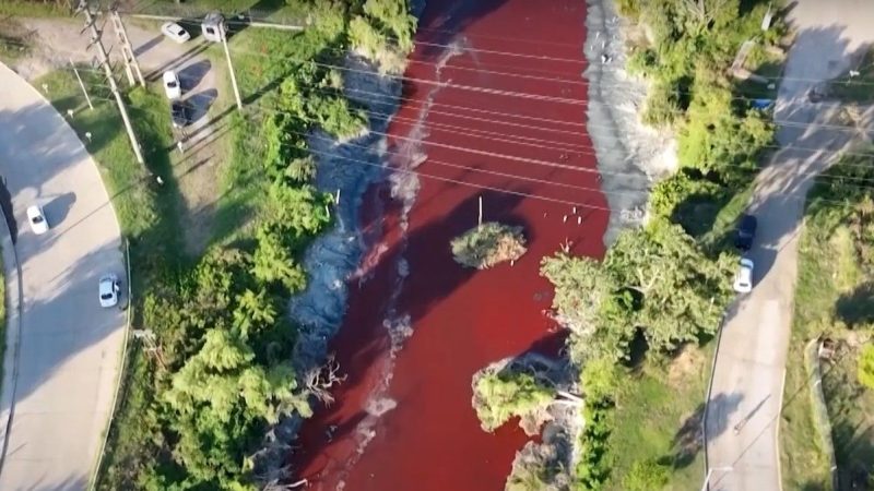 Річка в Аргентині стала криваво-червоною