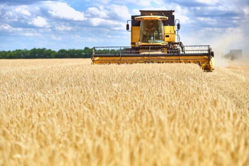 Війна завдала агросектору України збитків на понад $11 млрд