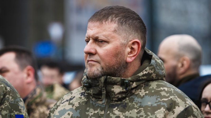 Заарештований за підозрою у підриві Північних потоків дасть покази проти Залужного